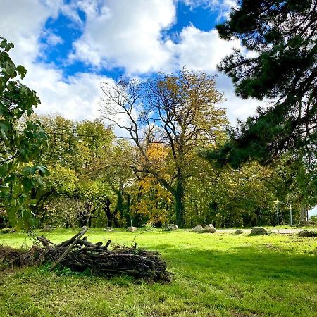 Gite De Corsas Saint-Victor  エクステリア 写真